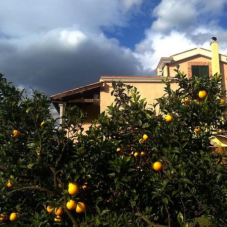Su Canonigu Agriresort Tortoli Luaran gambar