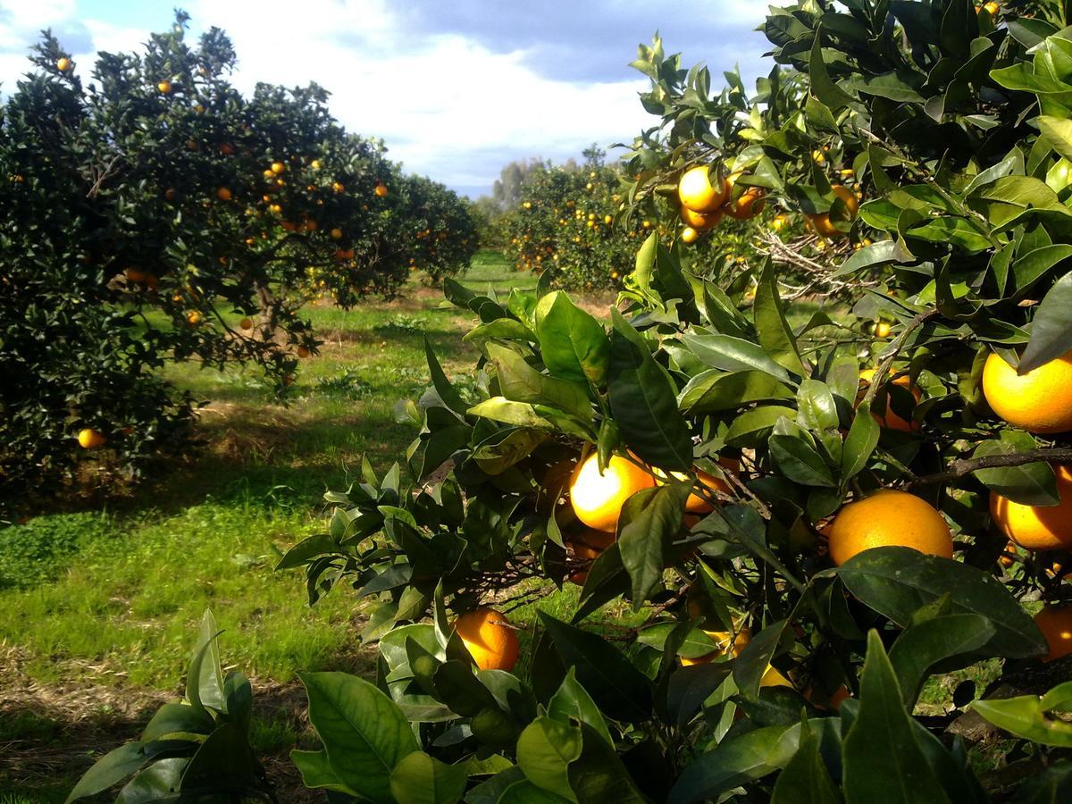 Su Canonigu Agriresort Tortoli Luaran gambar